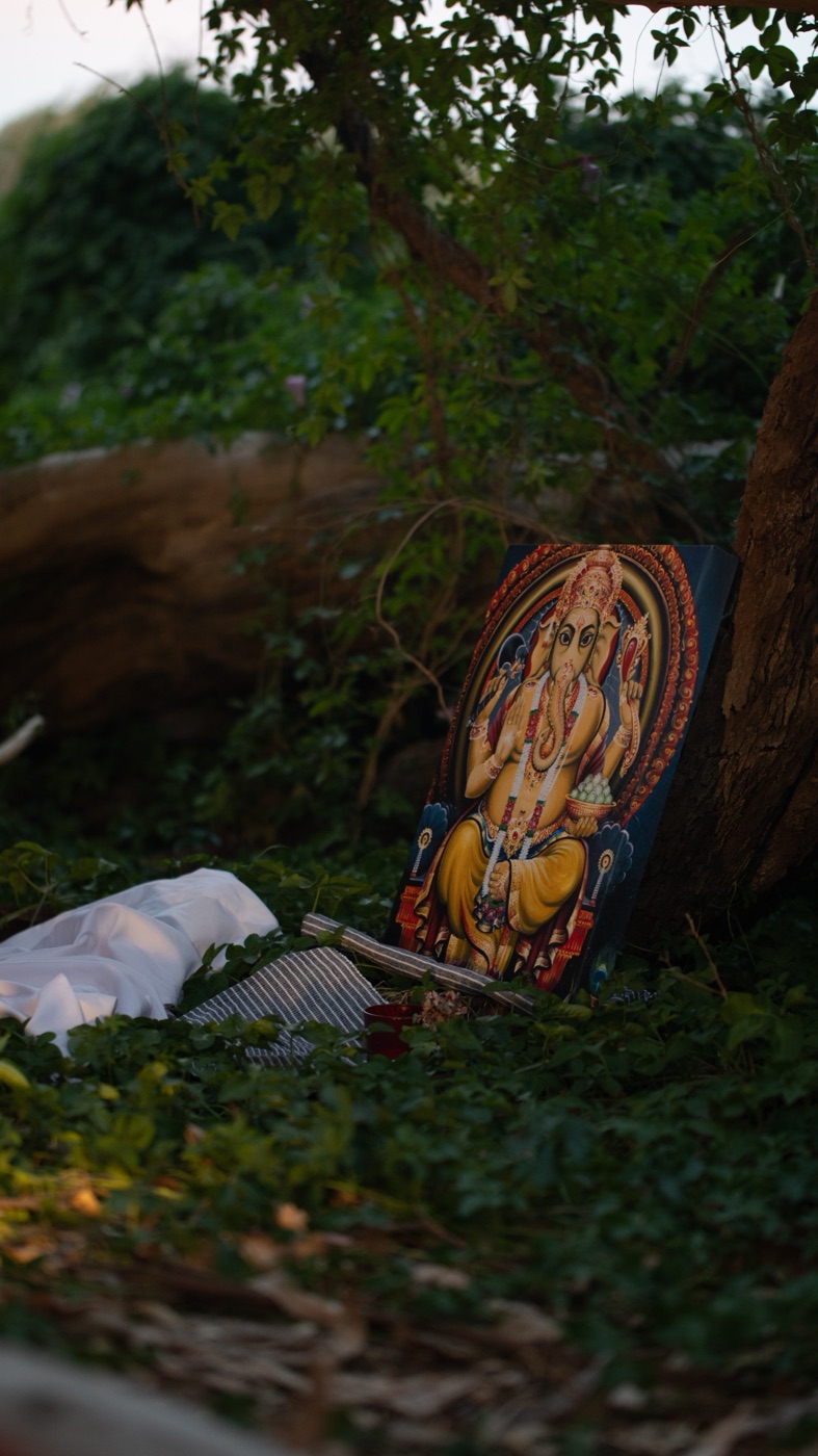 A painted Ganesh image resting against a tree in a forest clearing